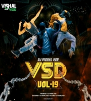 VSD VOL-  19 DJ VISHAL VSD 
