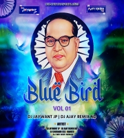 BLUE BIRD VOL 01