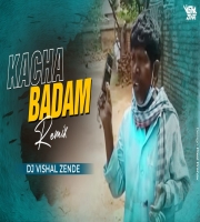 Kacha Badam - Viral Song X  Dj Vishal Zende