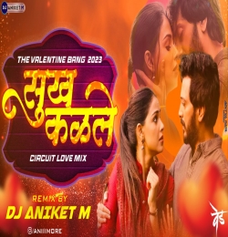 Sukh Kalale Circuit Love Mix  - DJ Aniket M