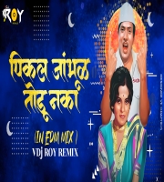 Pikala Jambhul Todu Naka (In EDM Mix) - DJ Roy Remix